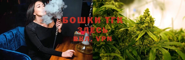 дживик Аркадак