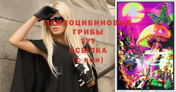 дживик Аркадак