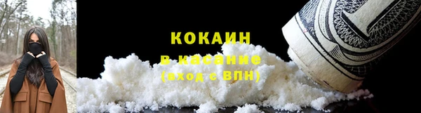 дживик Аркадак